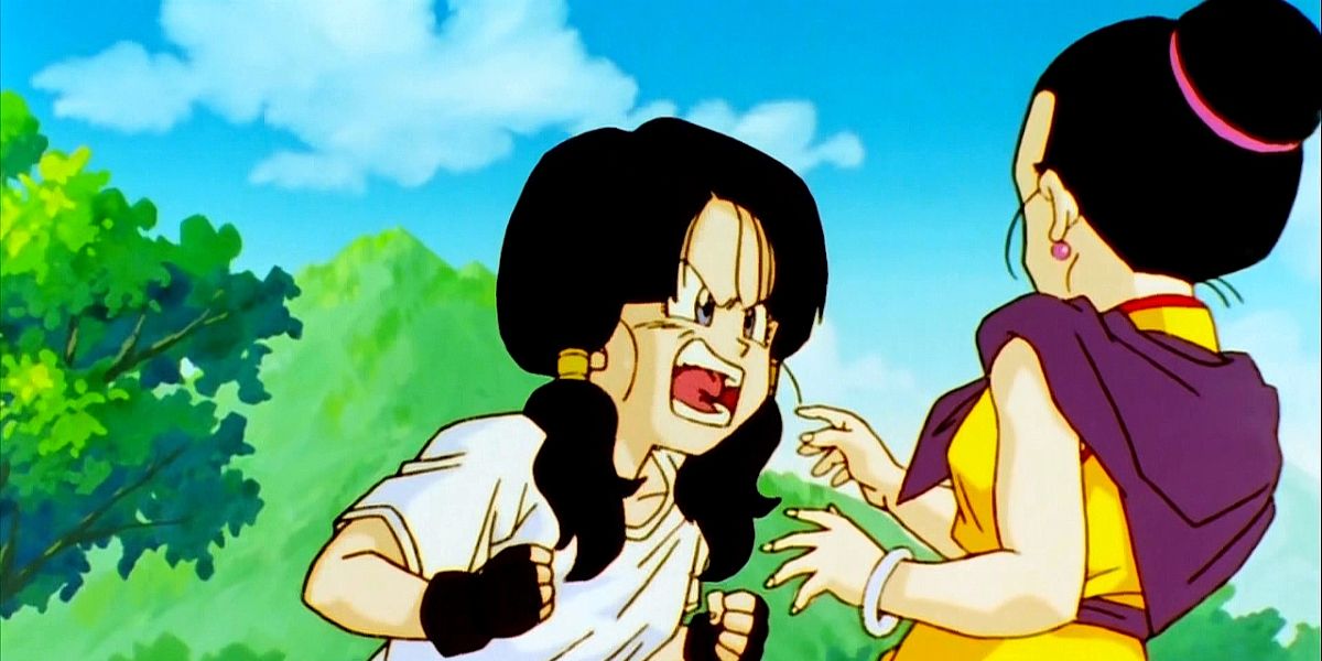 Videl from the Dragon Ball anime series.
