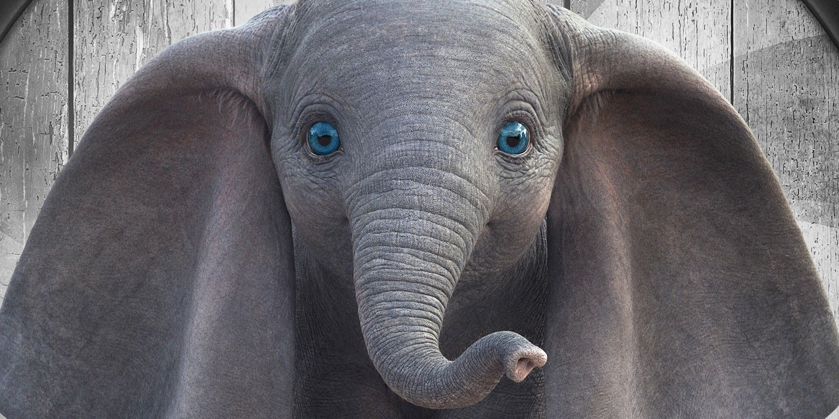 Dumbo as seein in the live-action version