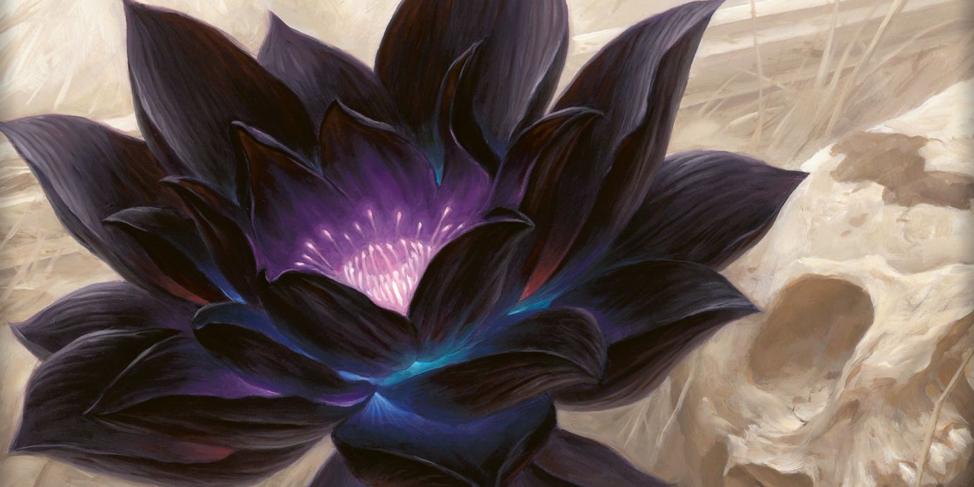 MTG Black Lotus