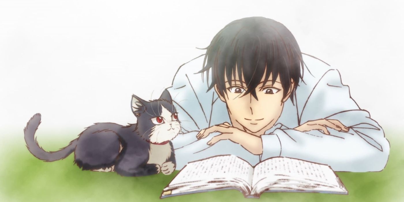 10 Best Anime Every Cat Owner Needs to Watch