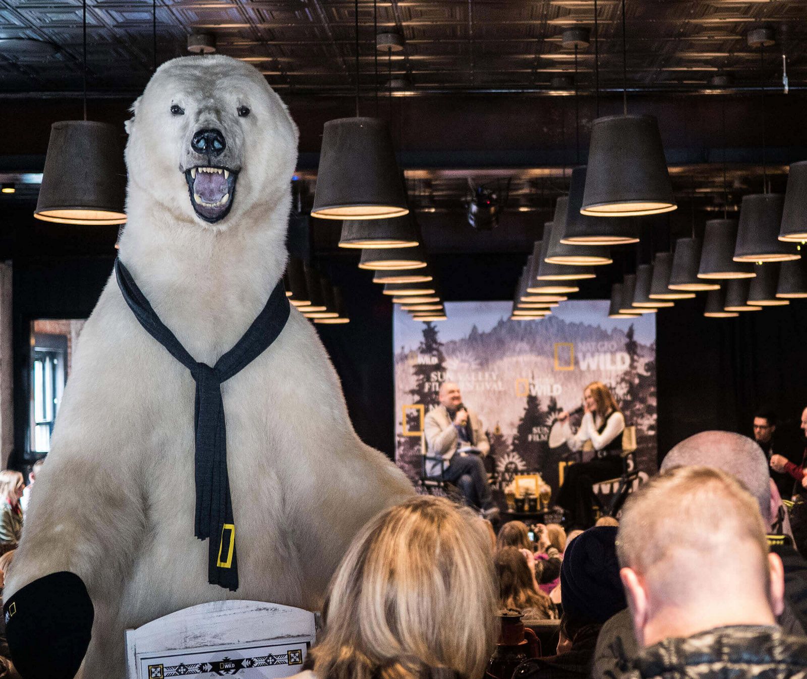 National Geographic Chris Albert Sun Valley Film Festival 2019