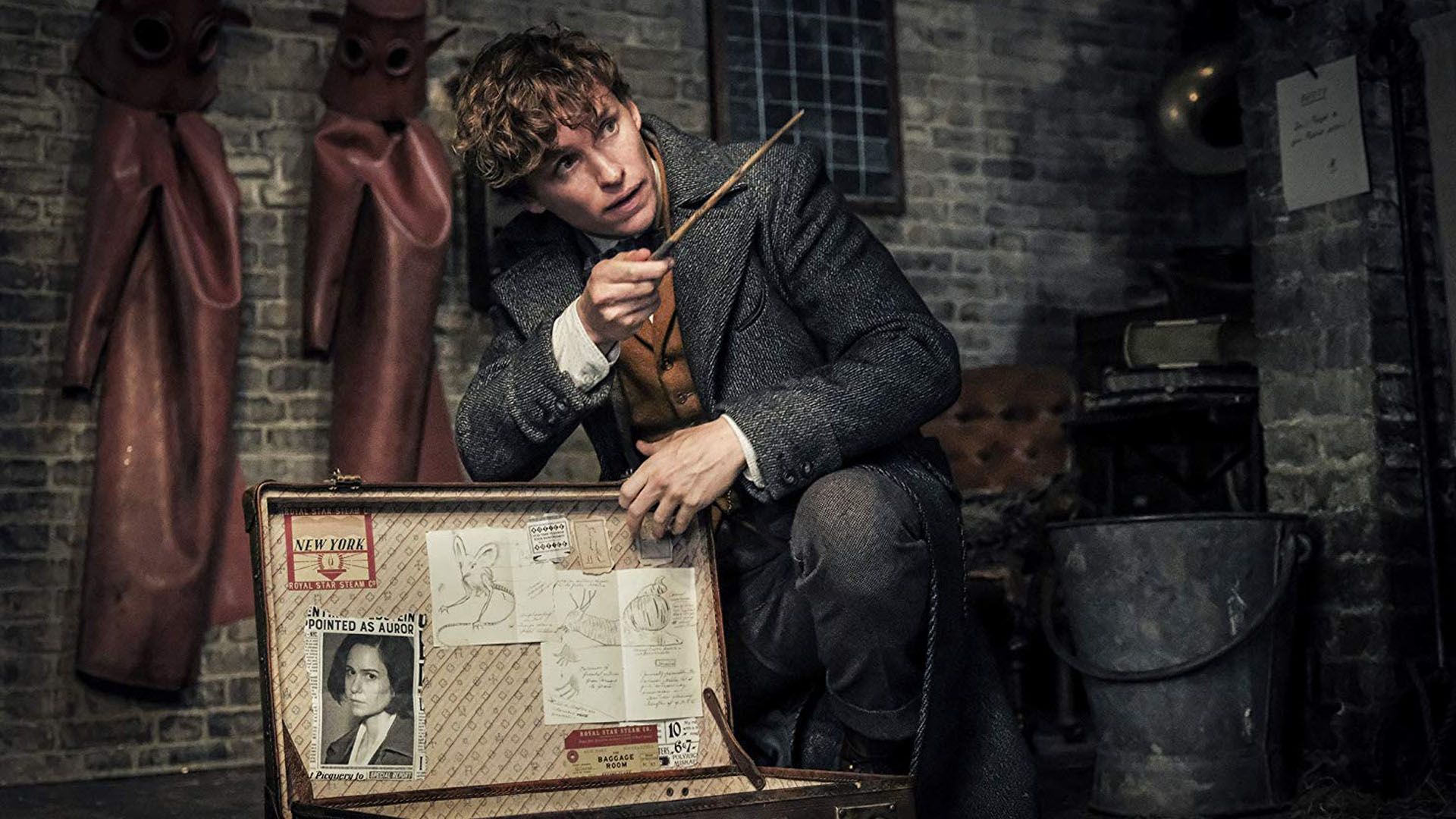 Newt Scamander
