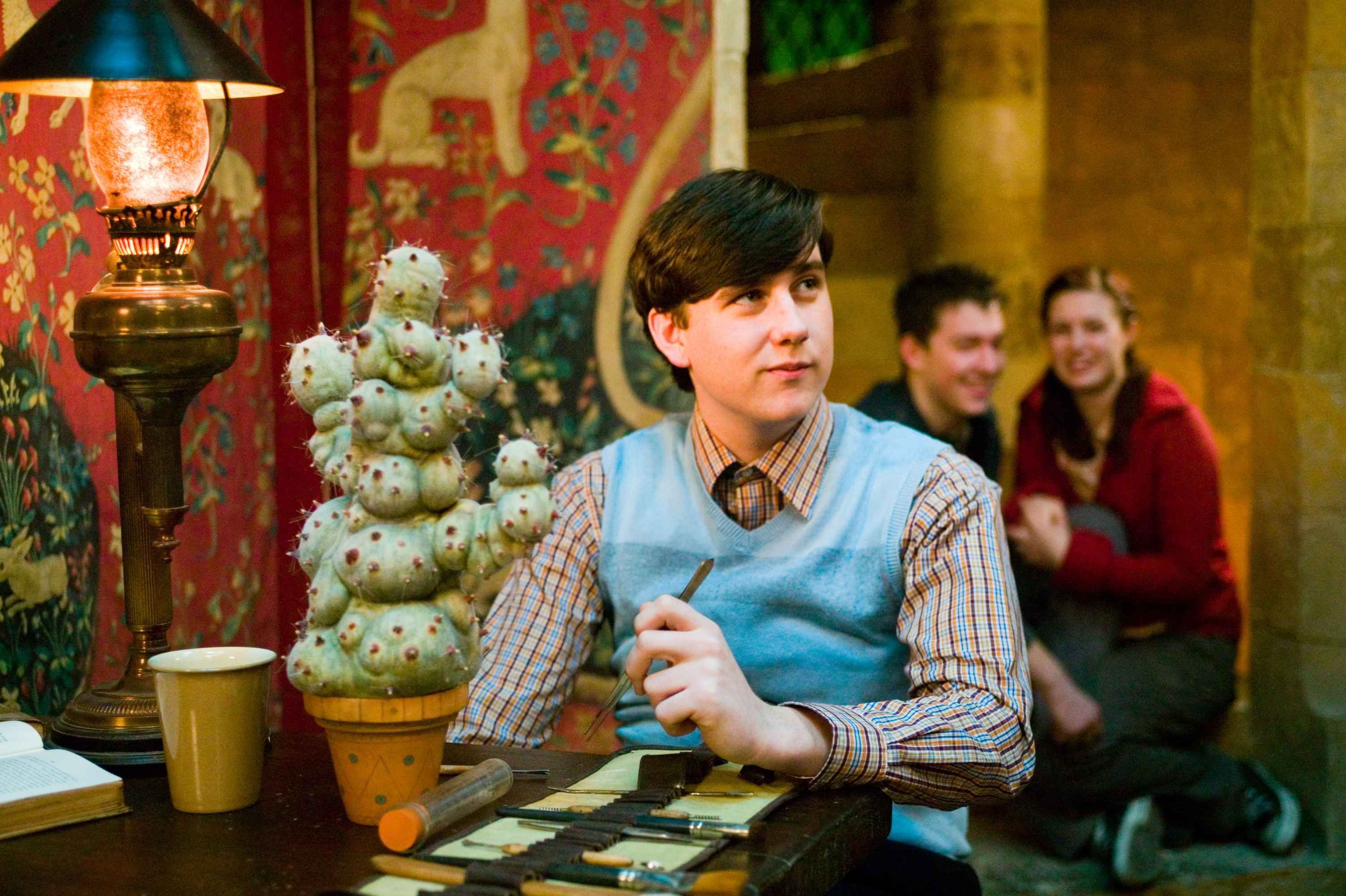 Harry Potter 10 Crucial Facts About Neville Longbottom The Films Leave Out