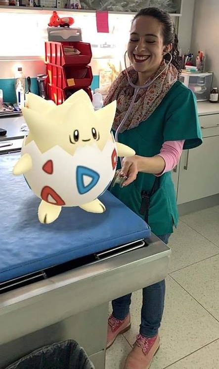 Pokemon GO Vet