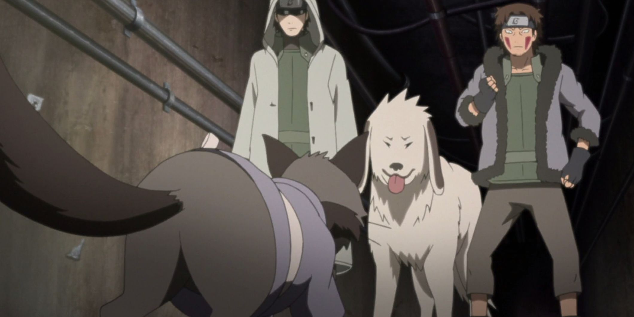 Shino, Akamaru, and Kiba meet Tamaki's cat for the first time in Naruto Shippuden