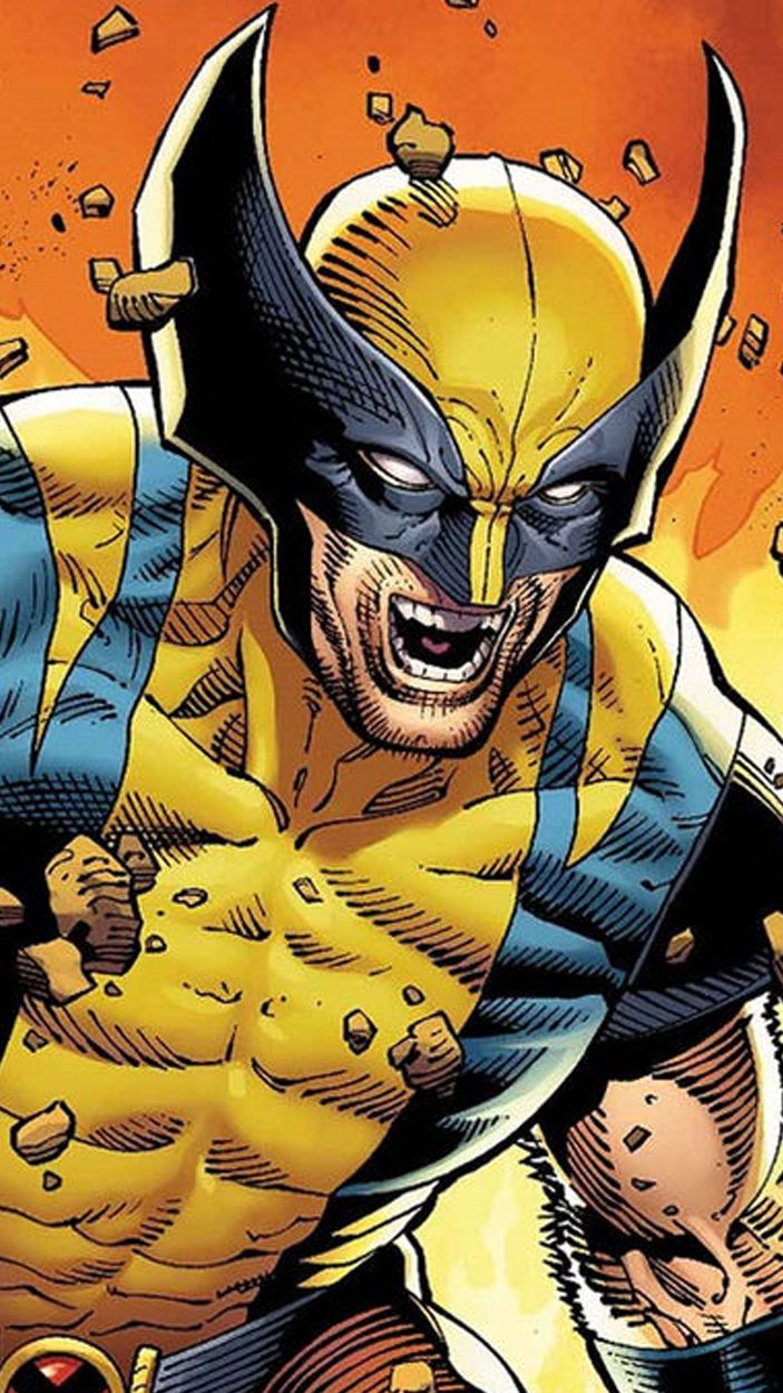 Wolverine Comics Vertical