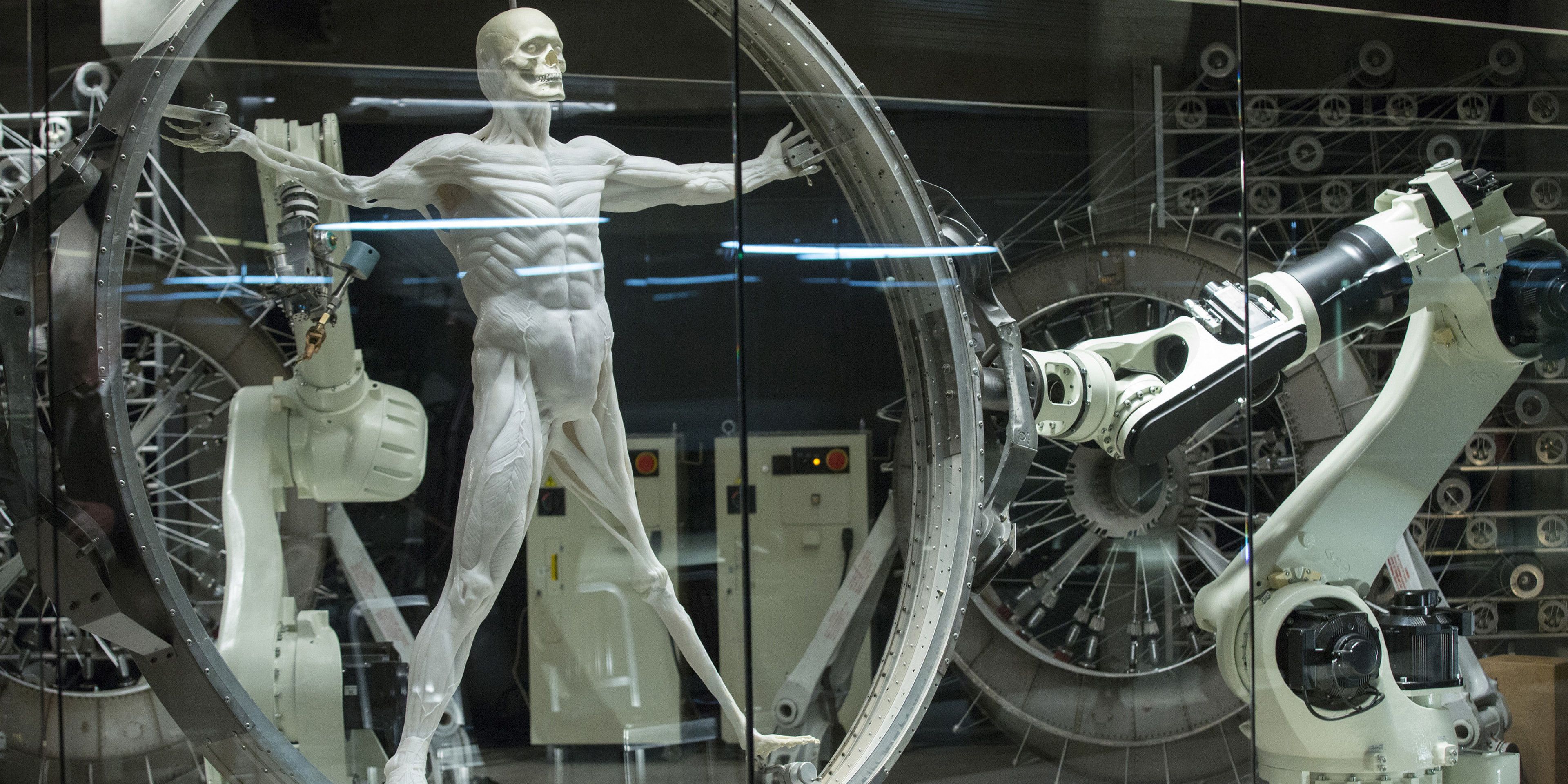 An android being constructed with advanced machinery in Westworld