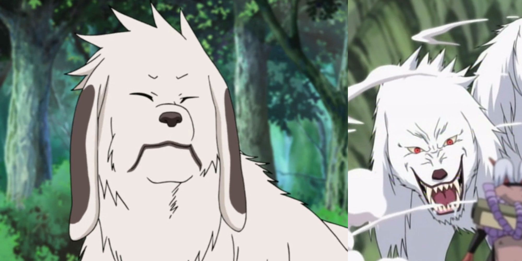 A split image features two different views of Akamaru in the Naruto franchise