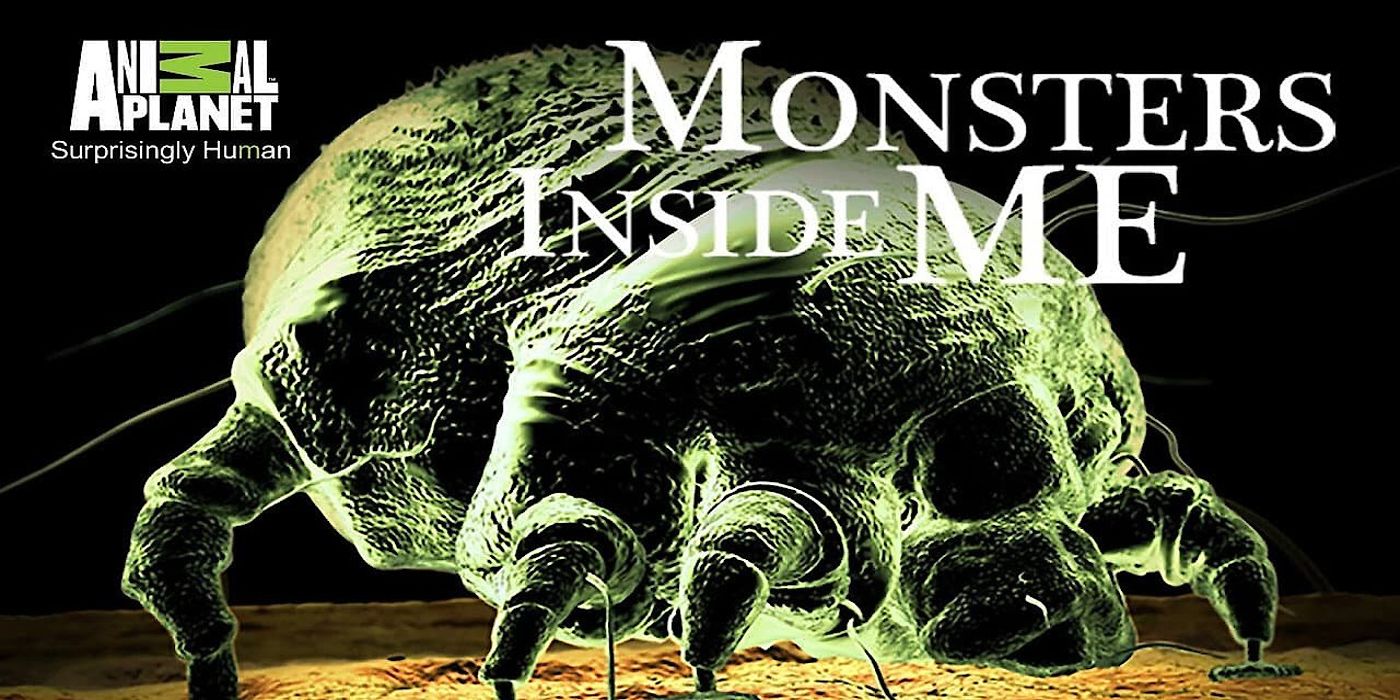 A promotional image for the Discovery Plus series Monsters Inside Me.