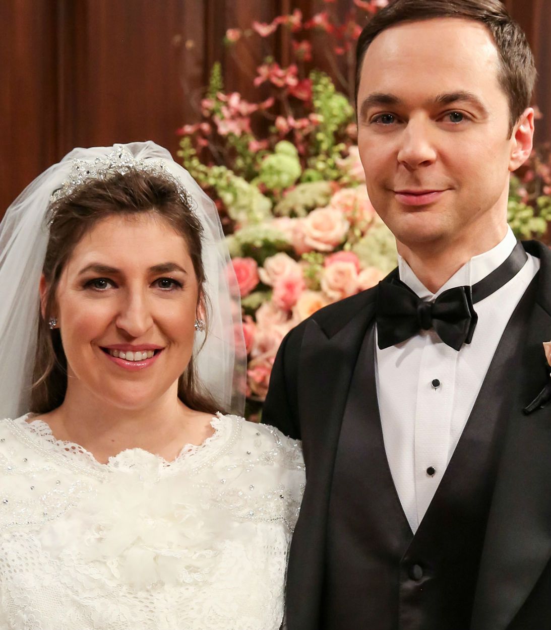 Big Bang Theory Amy and Sheldon Vertical 2