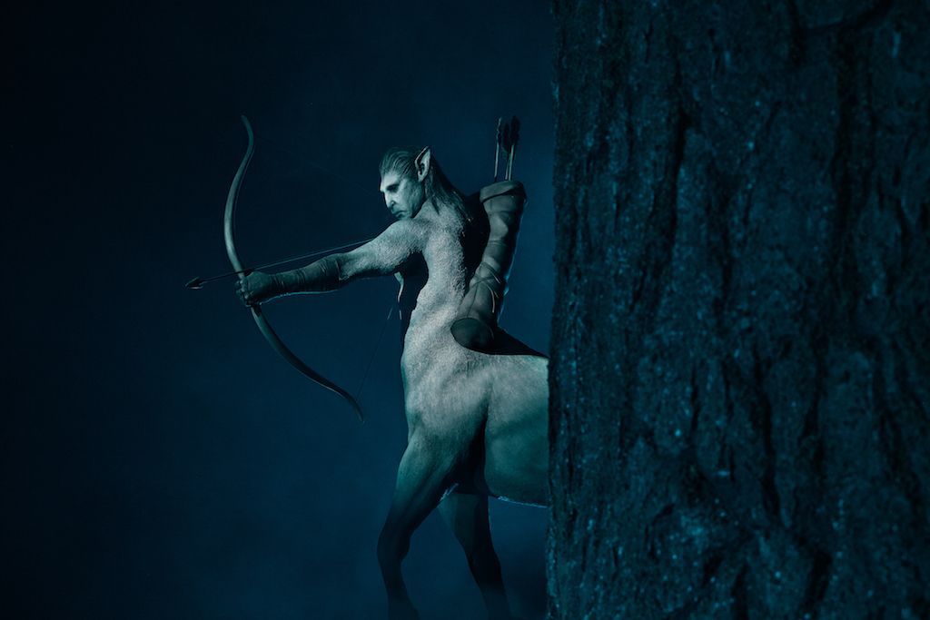 Centaur Harry Potter