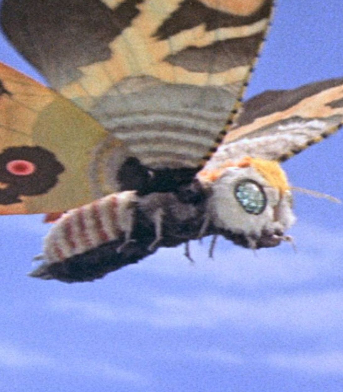 Classic Mothra movie still