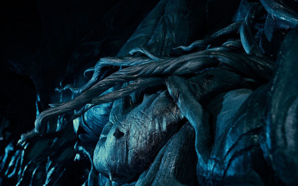 Devils Snare Harry Potter