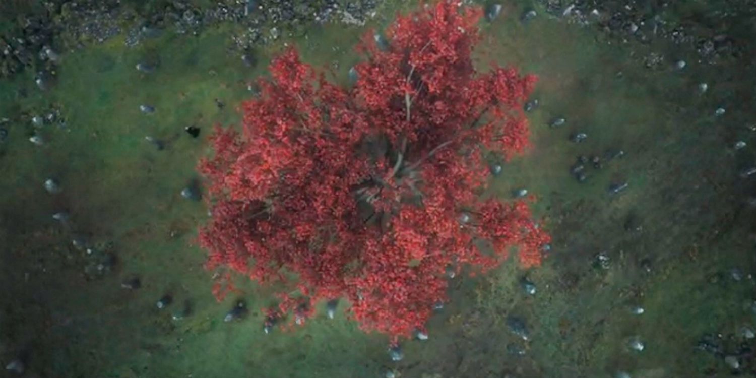 Game of Thrones - Weirwood Tree Spiral