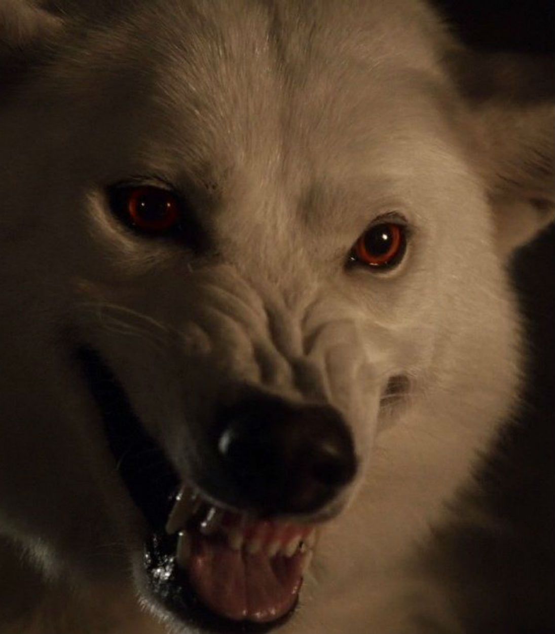 Ghost on Game of Thrones