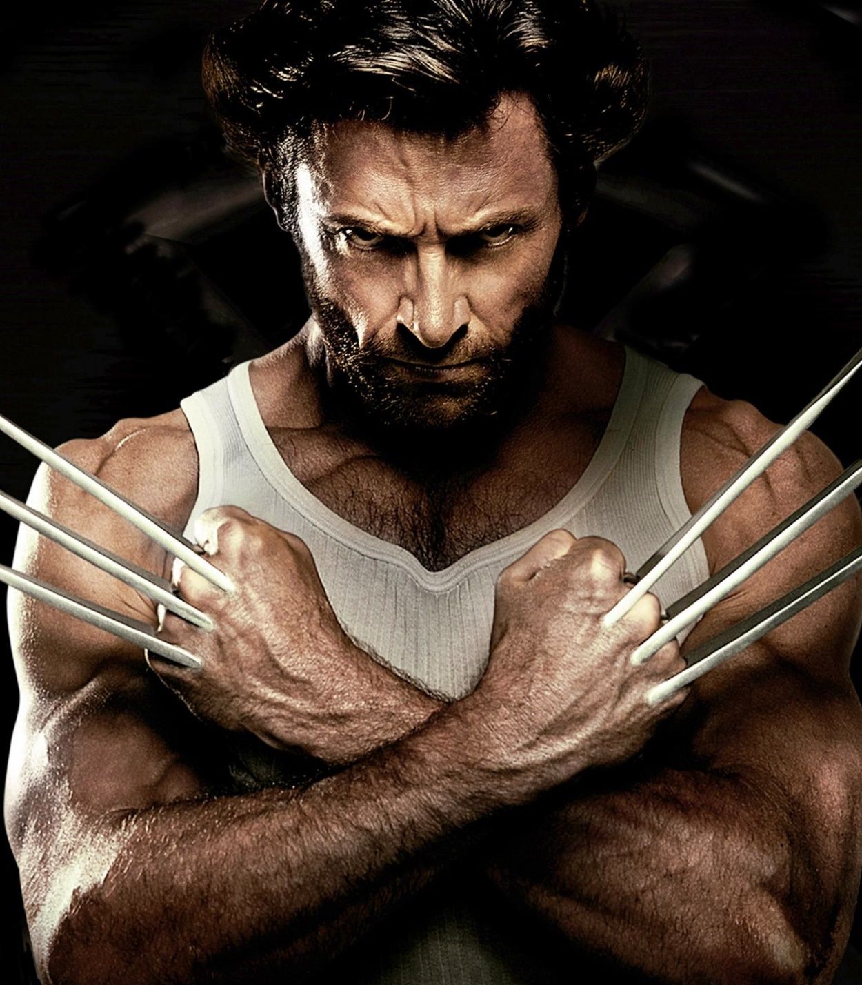 Hugh Jackman Wolverine Vertical