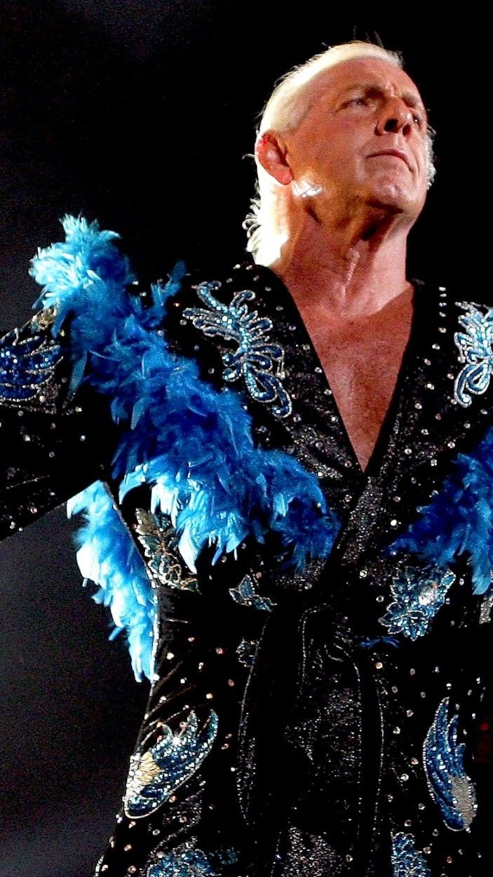 Ric Flair in WWE