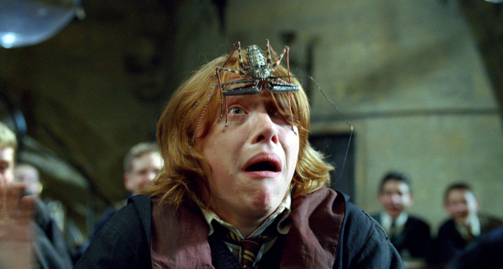 Ron Weasley Pictures From the Harry Potter Movies