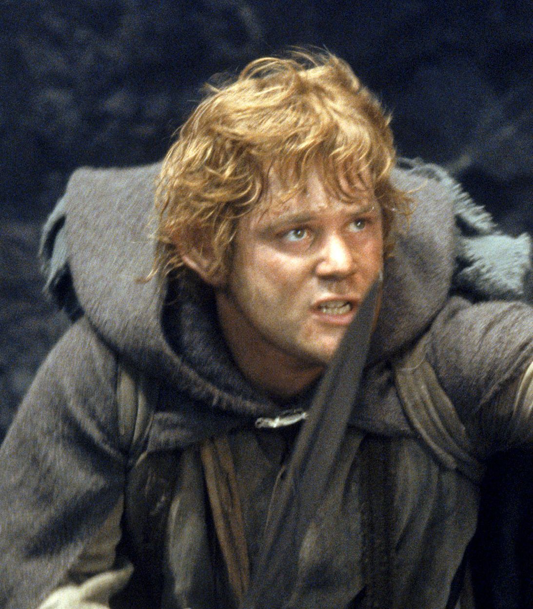 The Lord of the Rings Samwise Gamgee Sean Astin Vertical