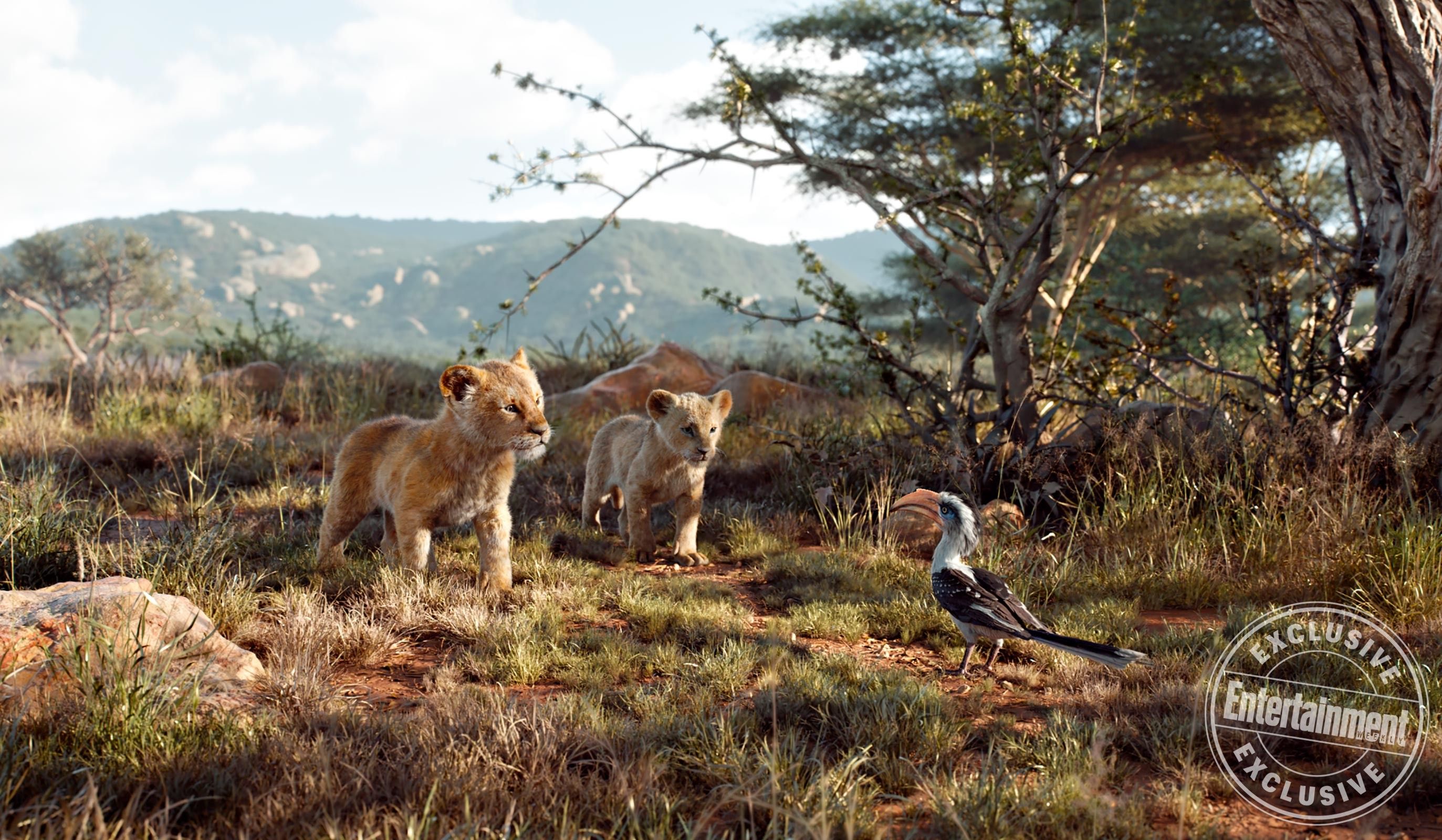 Simba Nala and Zazu in The Lion King