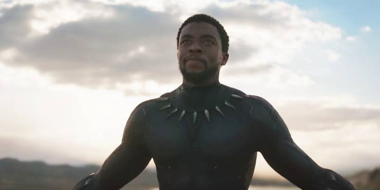 10 Things You Never Knew About Black Panther S Costume 10 Things You Never Knew About Black Panther S Costume