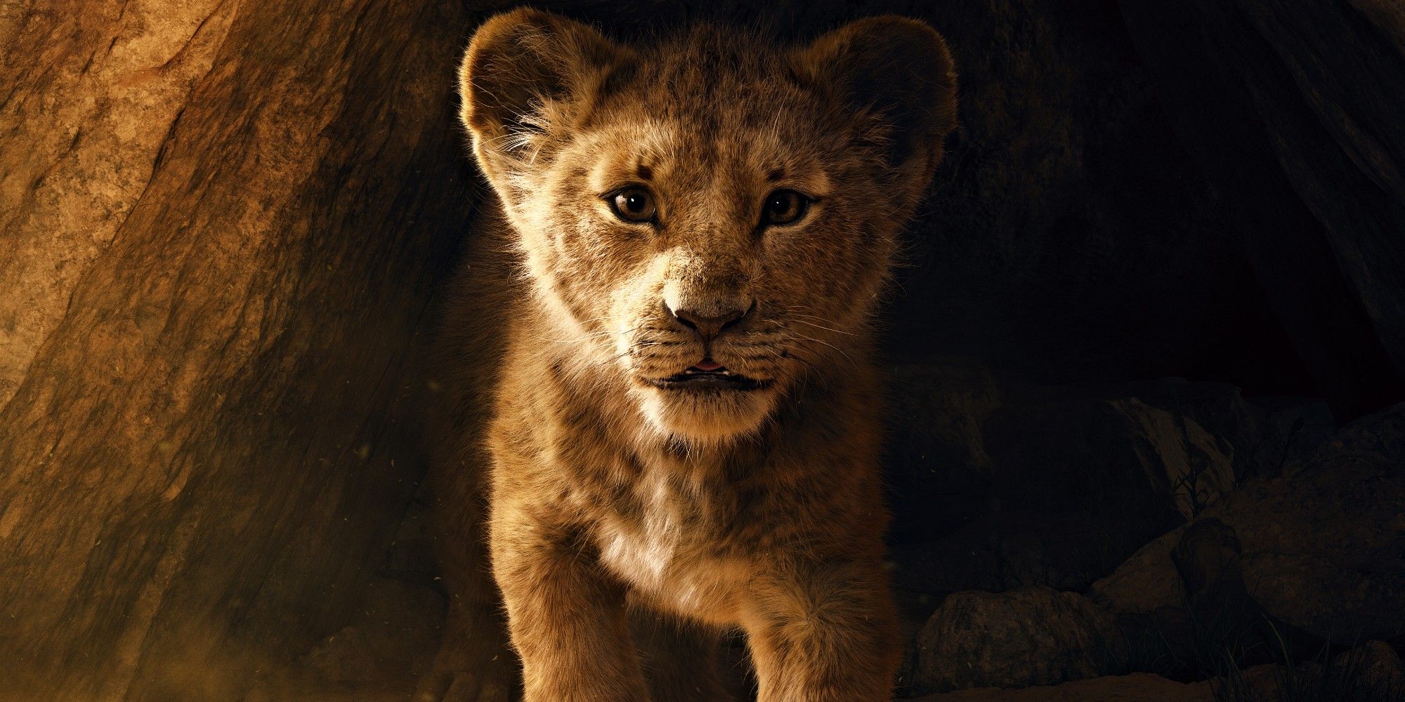 The Lion King 2019 Simba poster