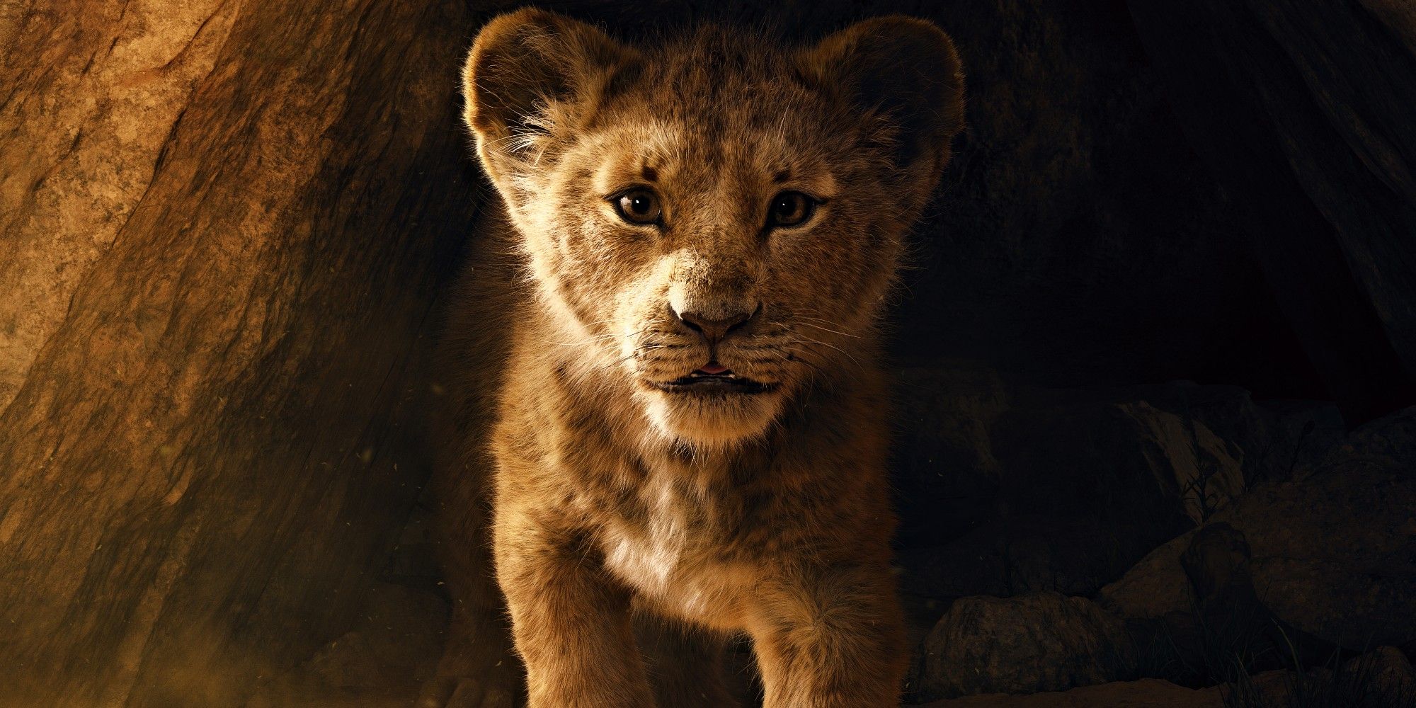 2024's Highest Grossing Film Just Passed 2019's Lion King To Become 9th Biggest Movie Of All Time