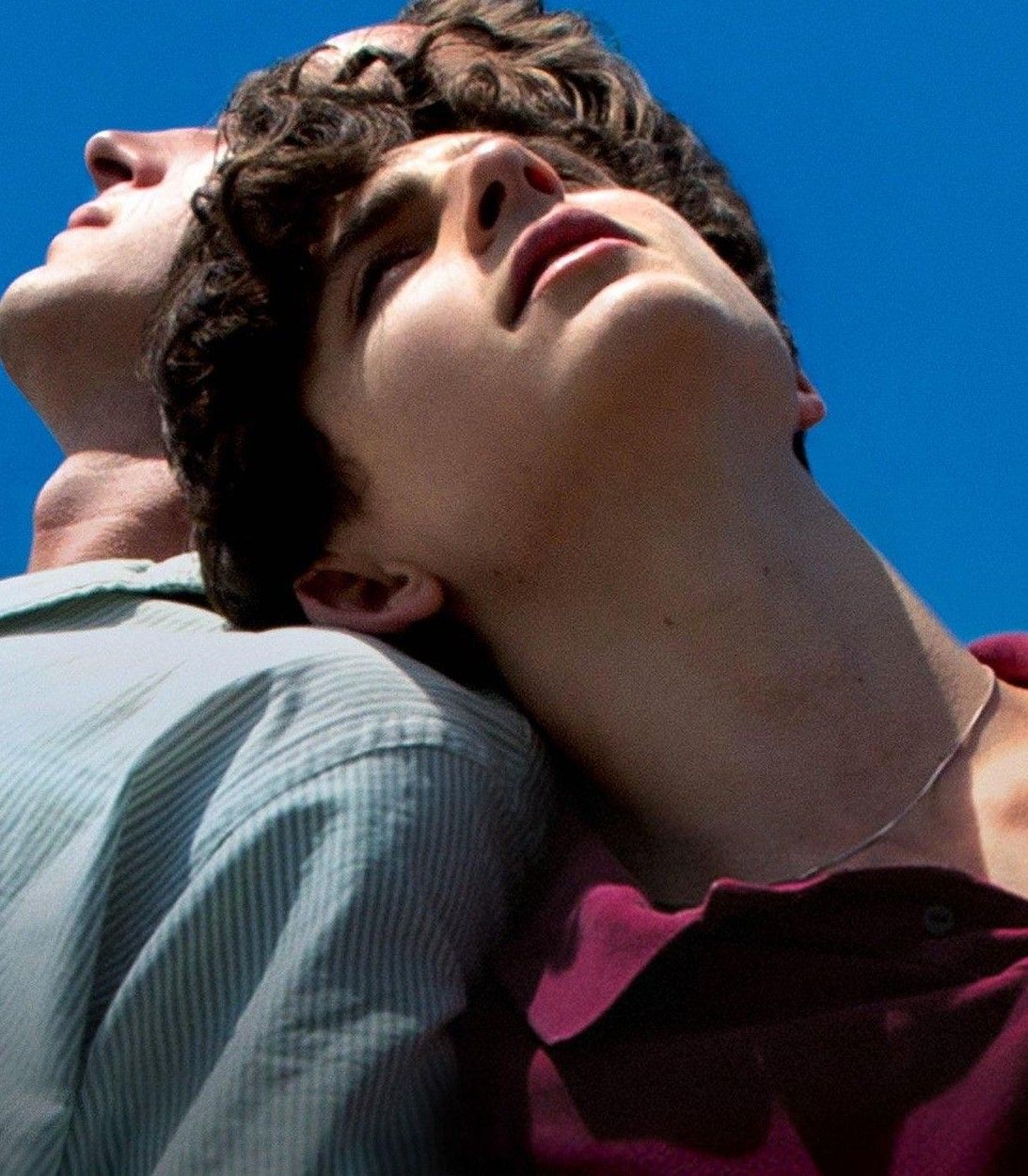 Timothee Chalamet in Call Me By Your Name Vertical