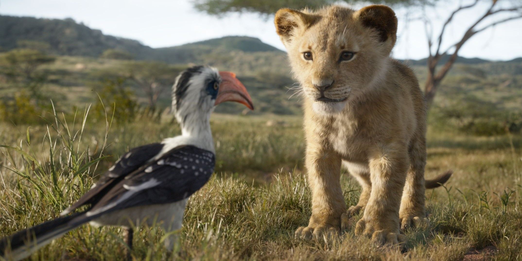 Zazu and Simba in The Lion King 2019
