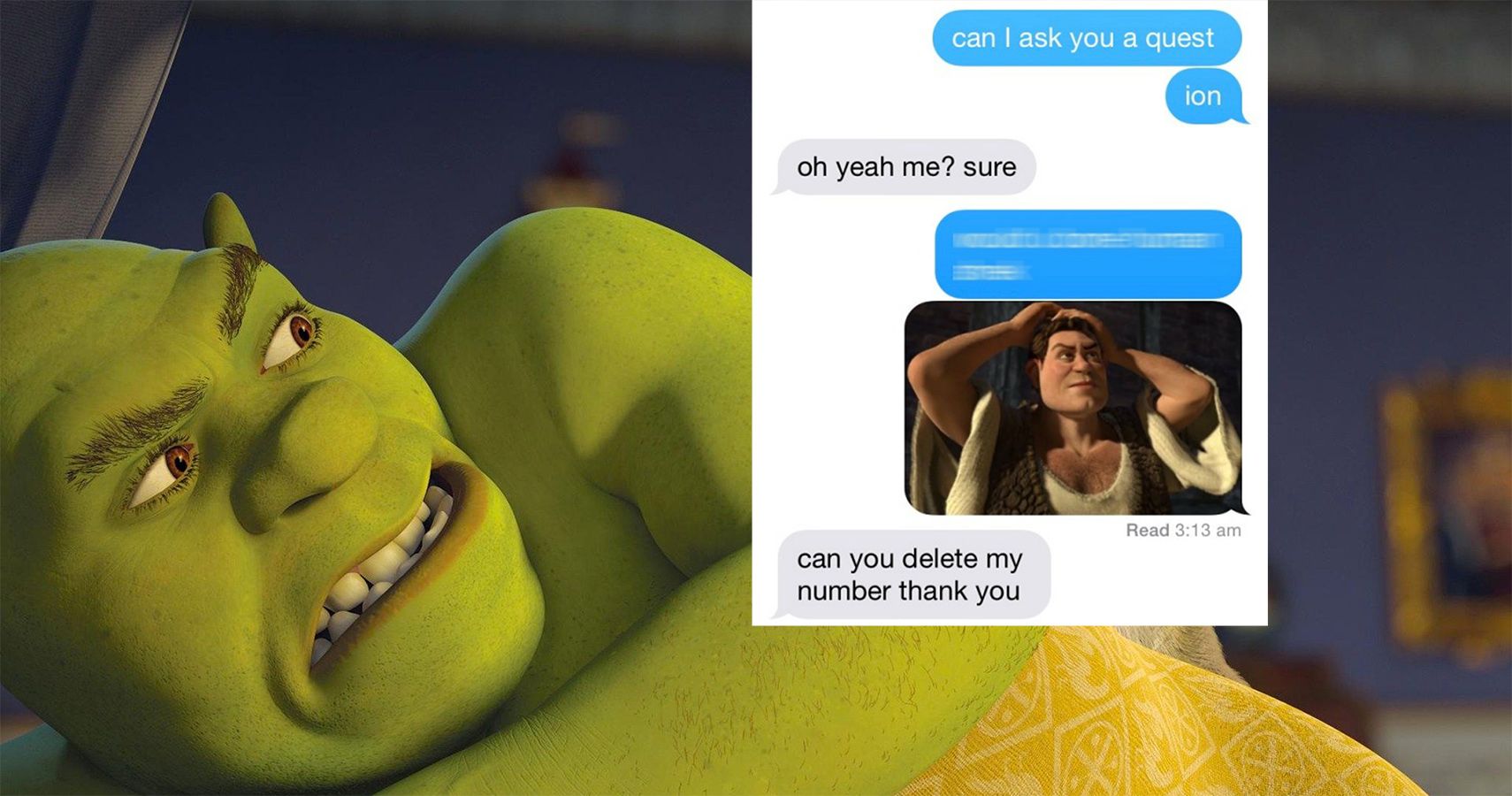 Shrek Memes 