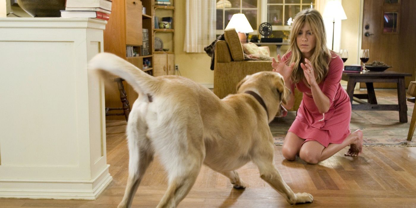 Jenny playing with Marley in Marley and Me