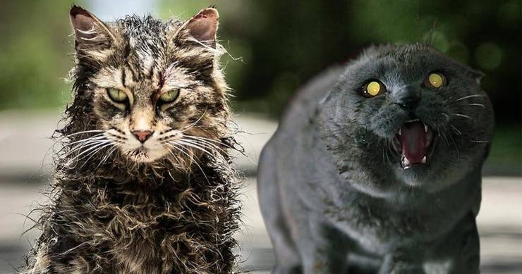 5 Differences And 5 Similarities About Pet Sematary S Church The