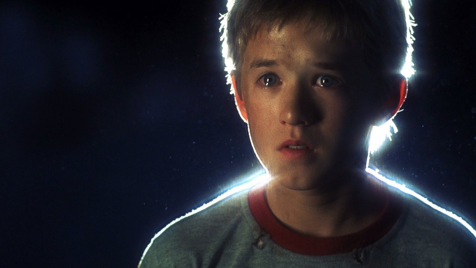 3. David