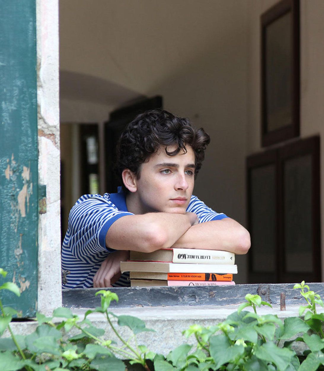 Call Me By Your Name vertical