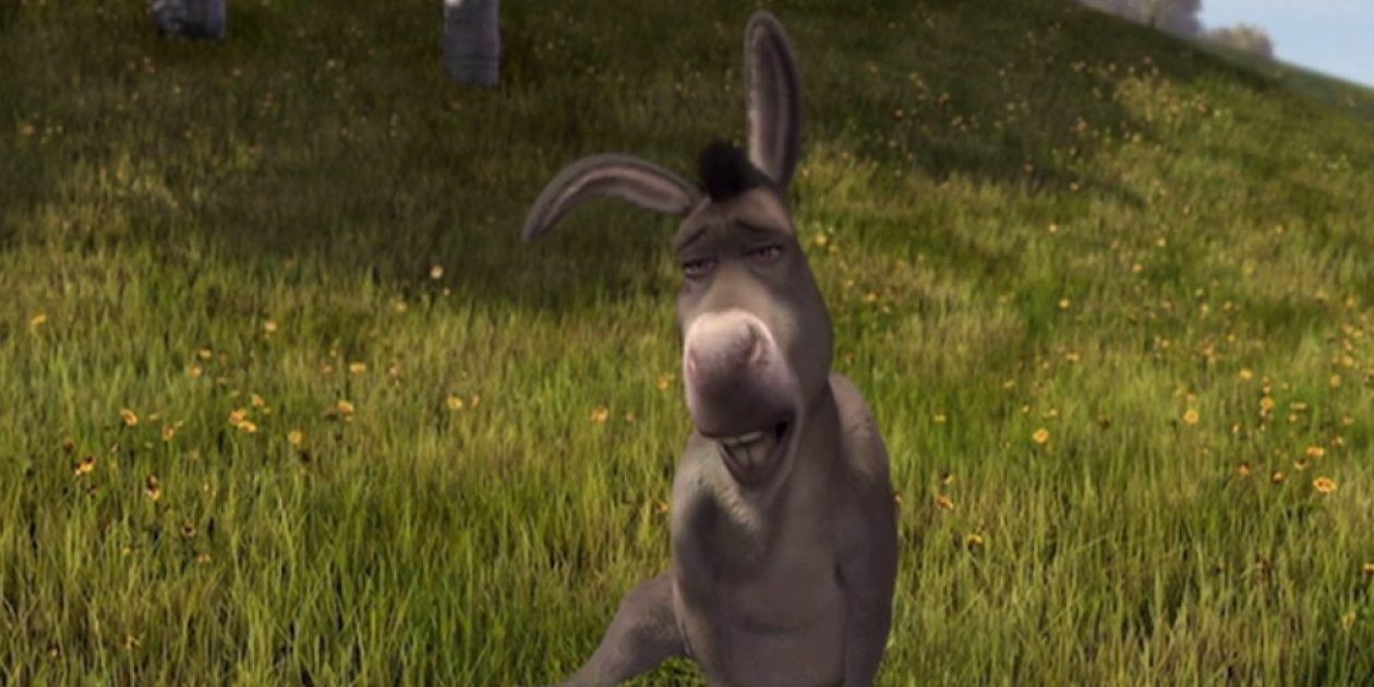 Donkey I need a hug in Shrek
