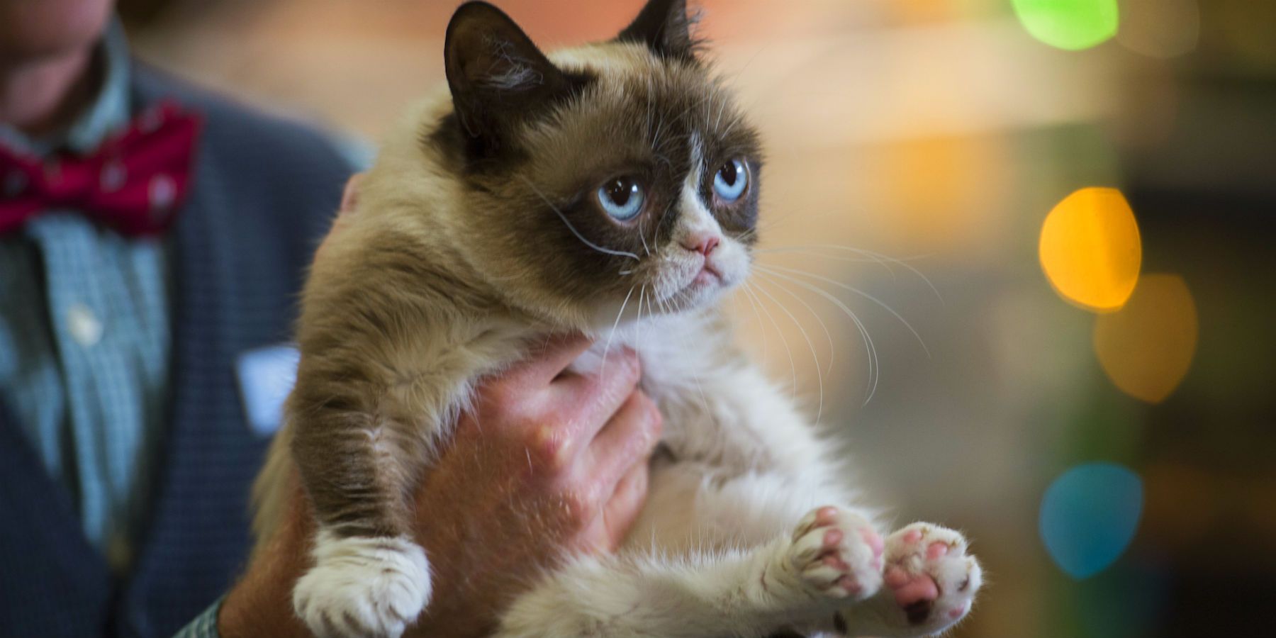 Grumpy Cat Worst Christmas Ever