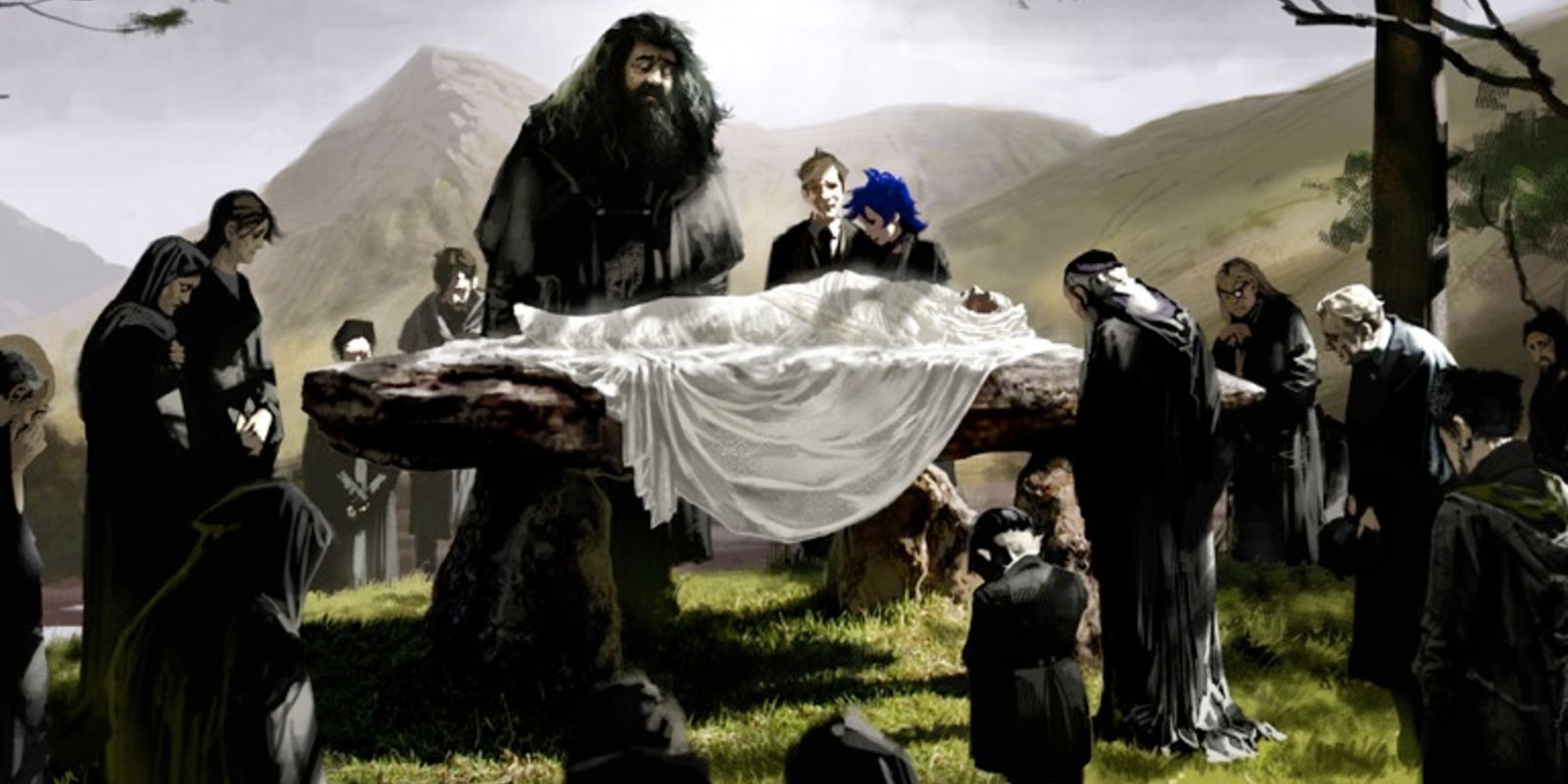 Harry Potter dumbledore funeral