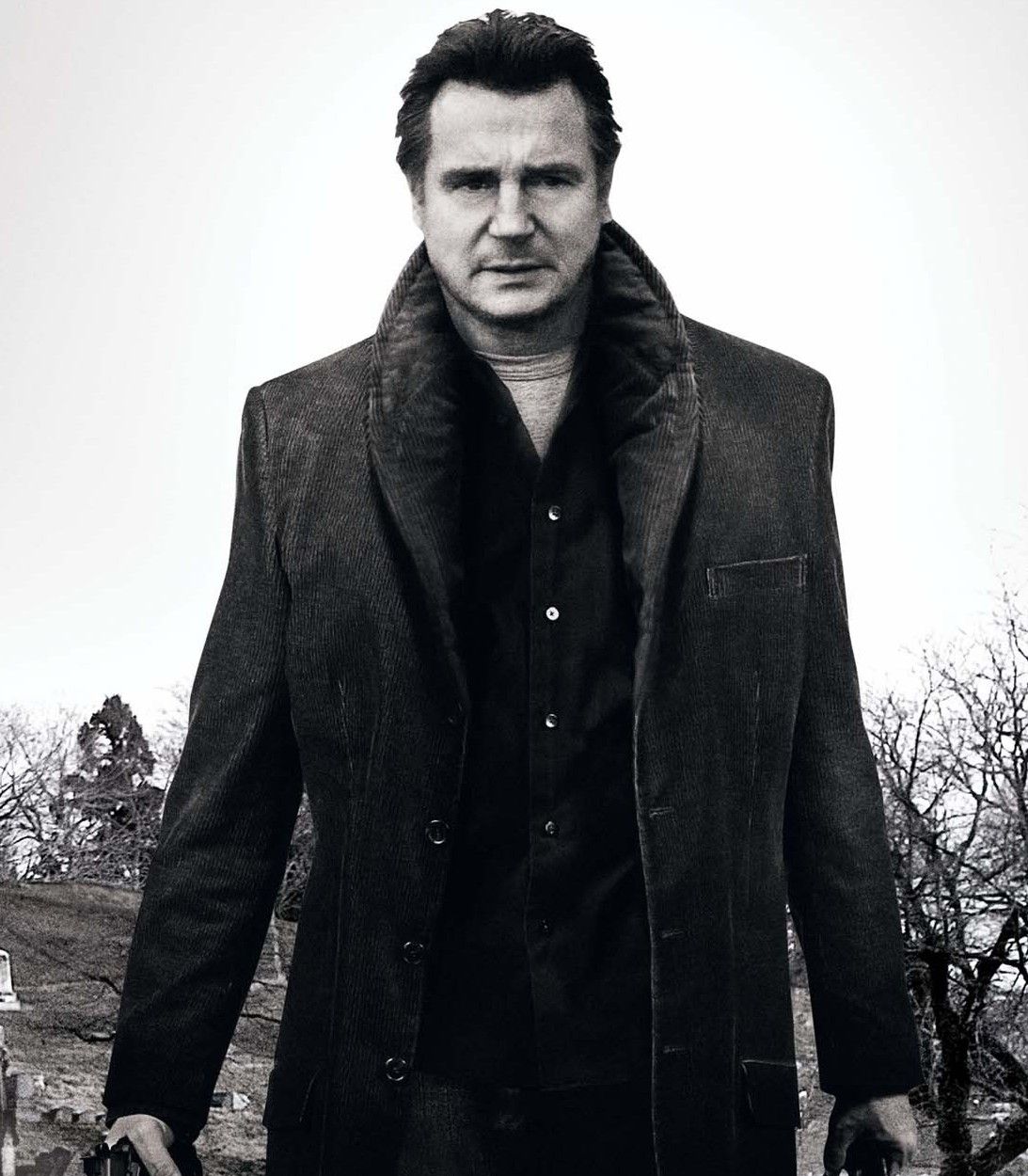 Liam Neeson poster Vertical