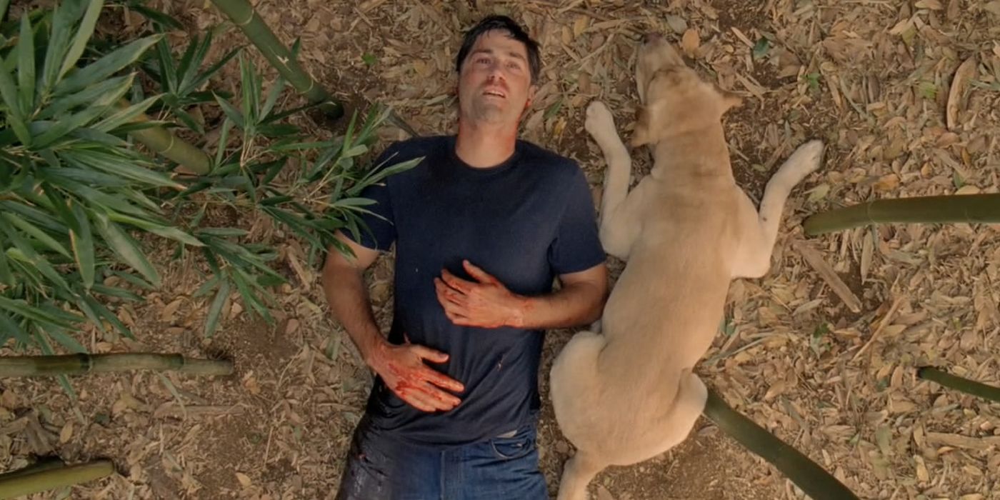 Matthew Fox as Jack lying on the beach and bleeding next to Vincent in Lost