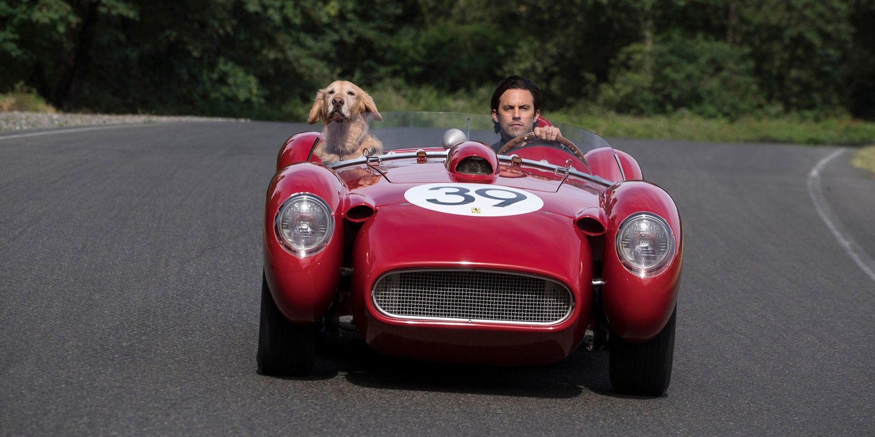 Milo Ventimiglia in The Art of Racing in the Rain