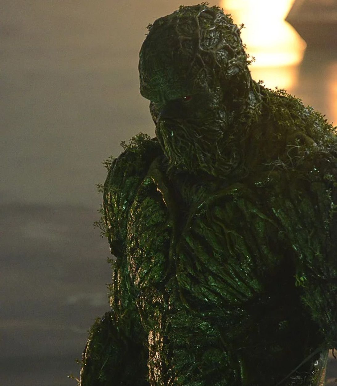 Swamp Thing Close-Up DC Universe vertical