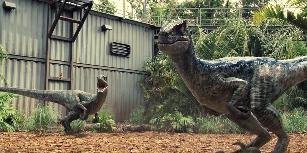 Velociraptors from Jurassic World