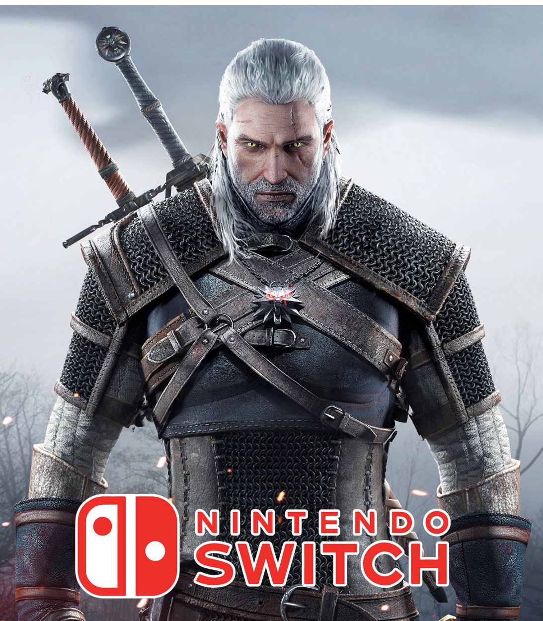 Witcher 3 Nintendo Switch Vertical 1