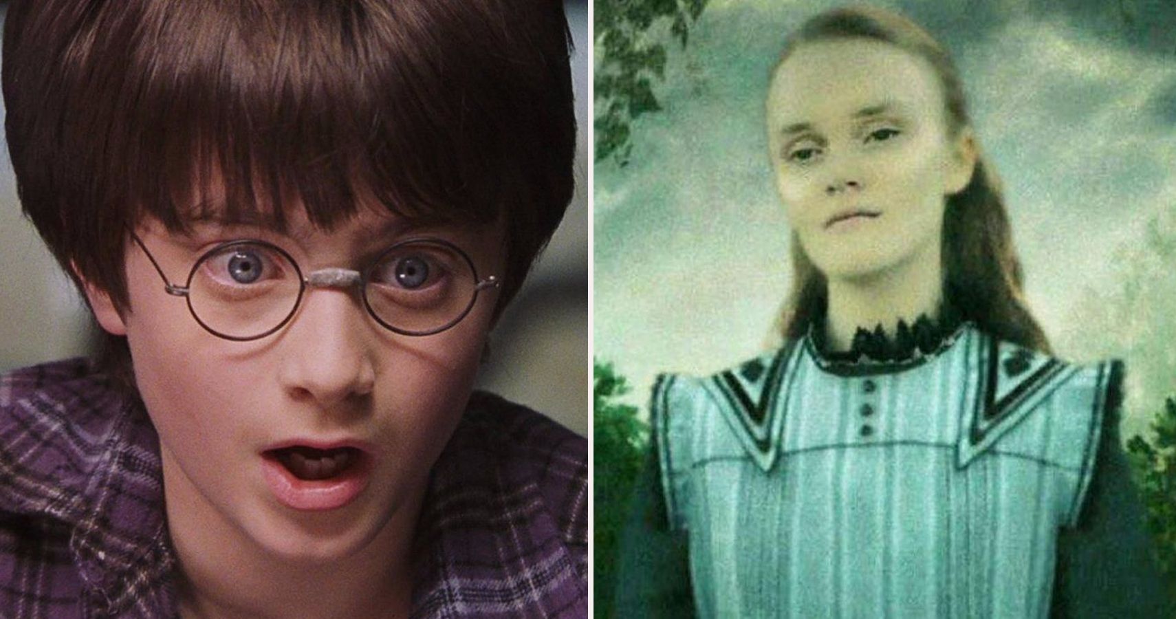 Harry Potter: 5 Characters From The Books We Wish Were In The Movies