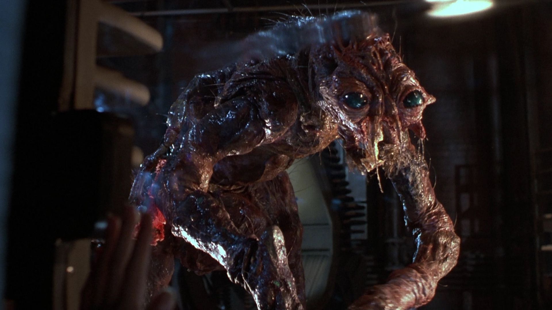 the fly 2