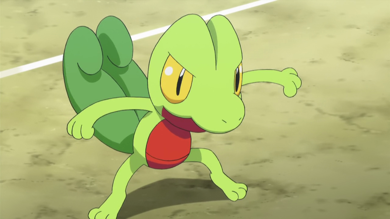 A Treecko battles in the Pokémon anime.