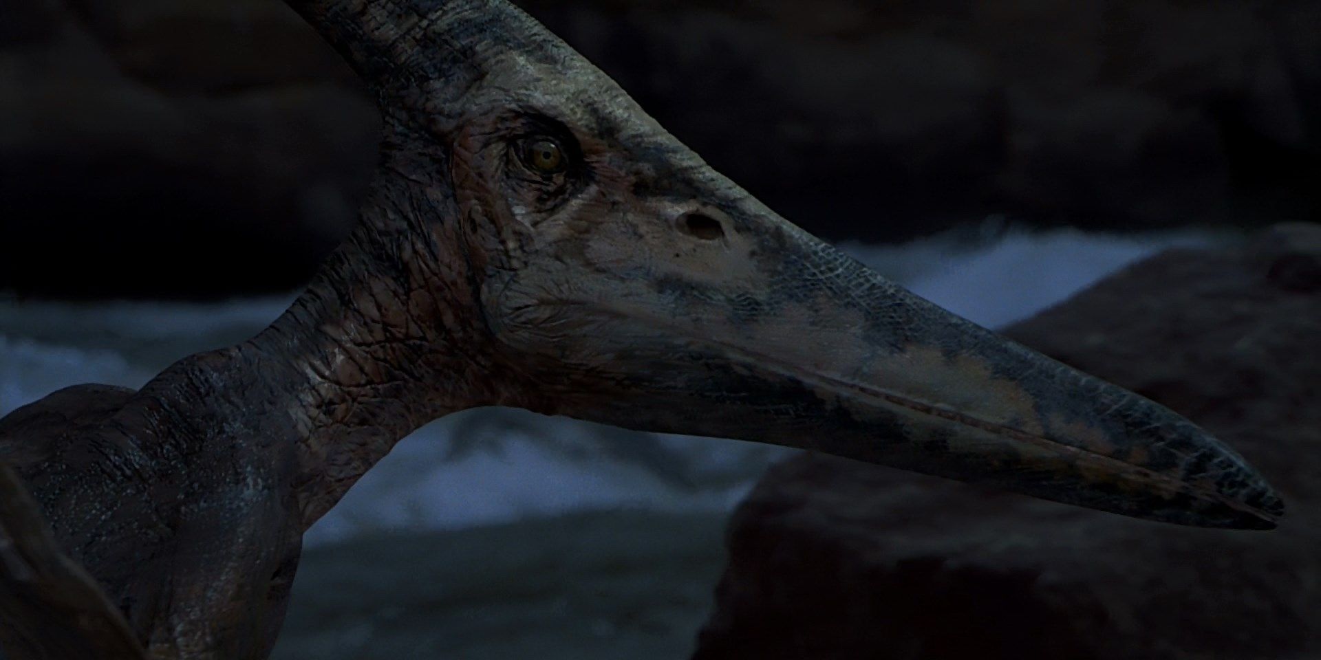 Um Pteranodon à beira do rio olhando para a câmera enquanto no aviário em Isla Sorna em Jurassic Park III