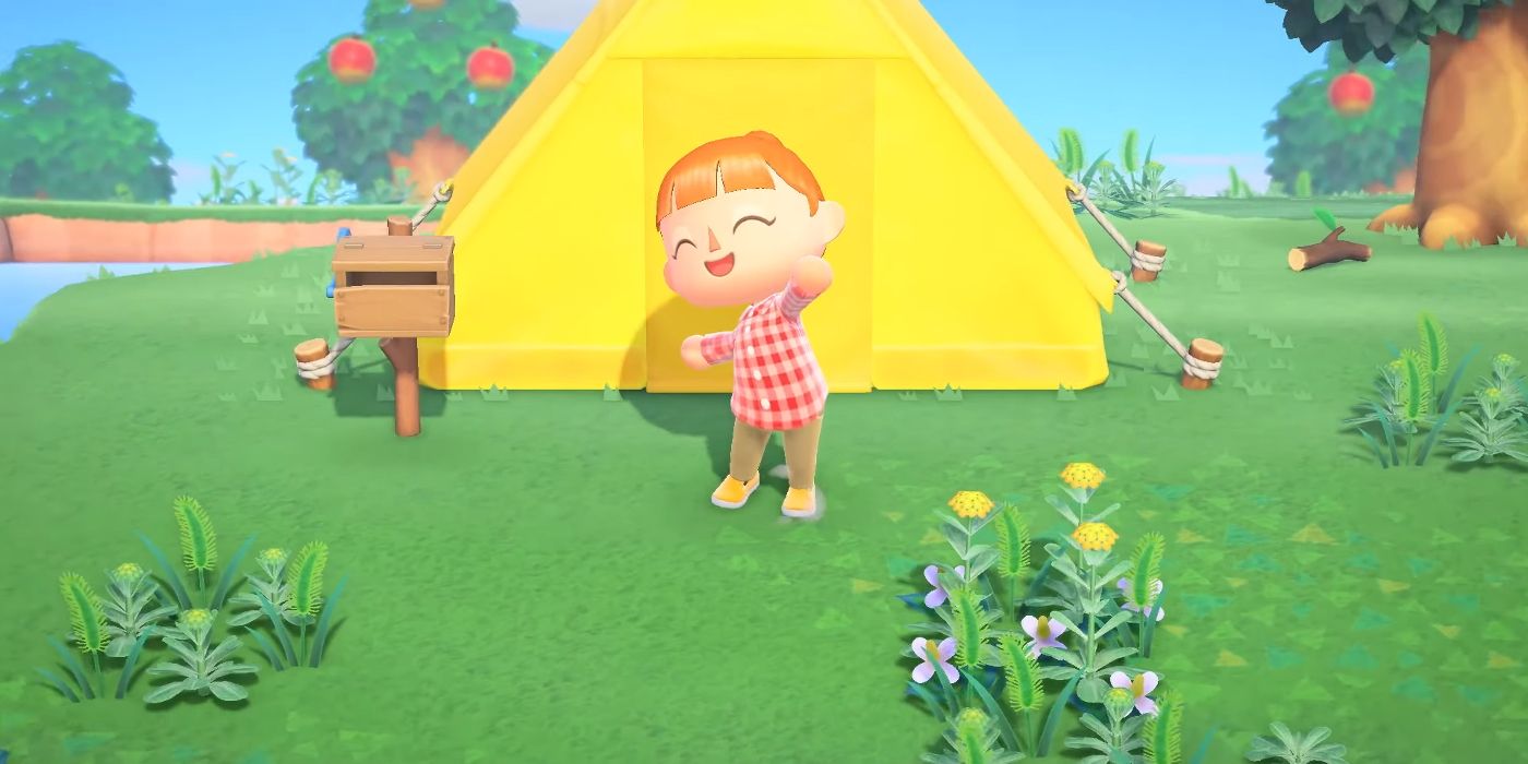 Animal Crossing New Horizons Camper Emote