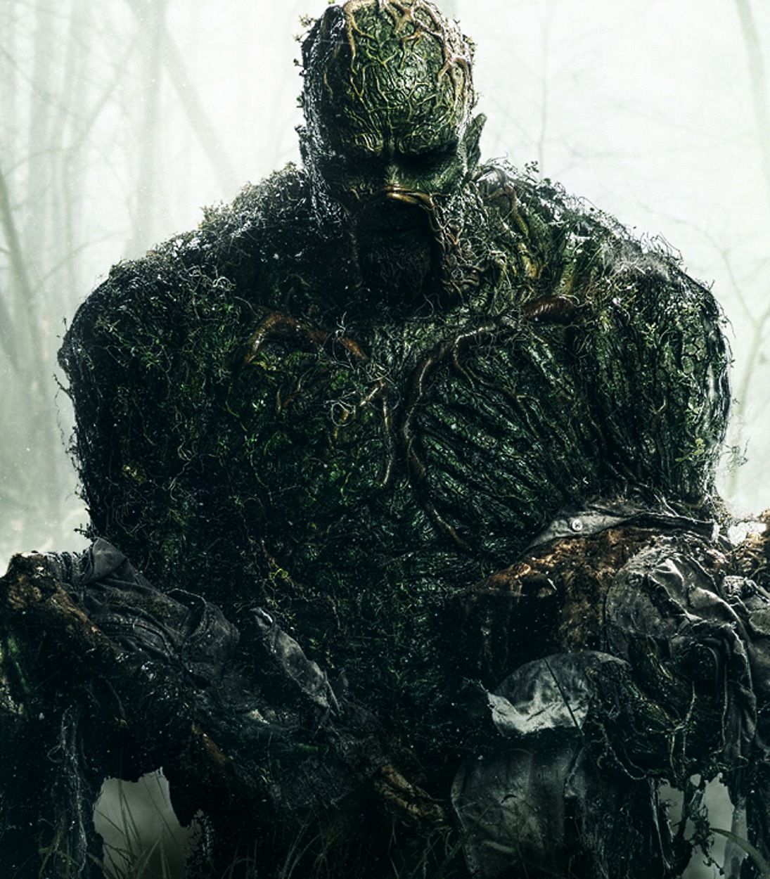 DC Swamp Thing Vertical