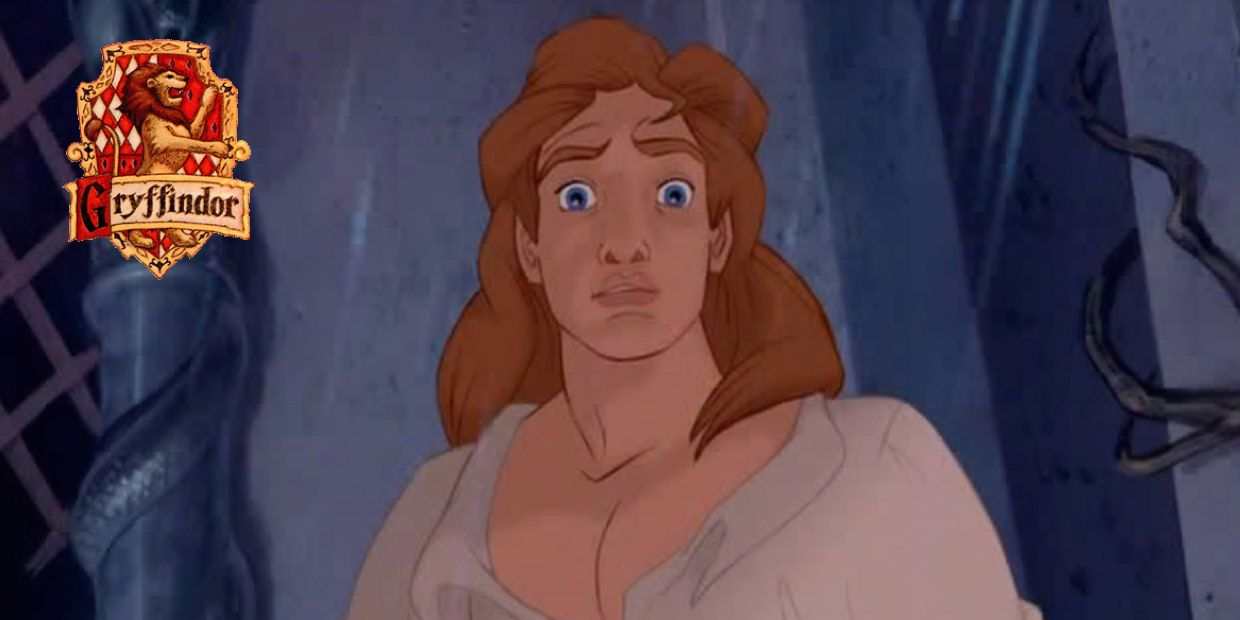 Disney Hero Prince Adam AKA The Beast Gryffindor